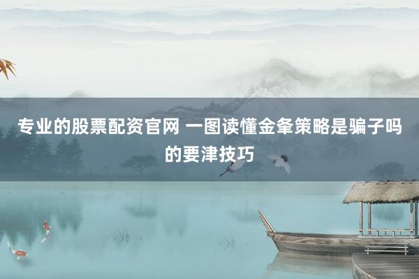 专业的股票配资官网 一图读懂金夆策略是骗子吗的要津技巧