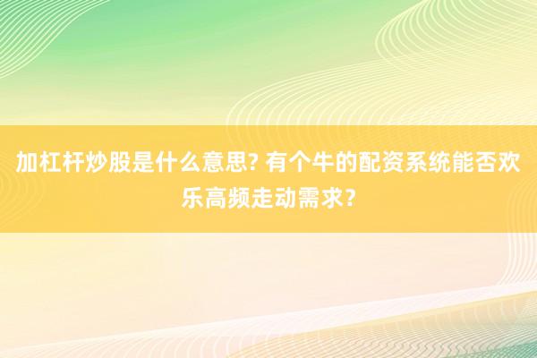 加杠杆炒股是什么意思? 有个牛的配资系统能否欢乐高频走动需求？