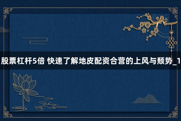 股票杠杆5倍 快速了解地皮配资合营的上风与颓势_1