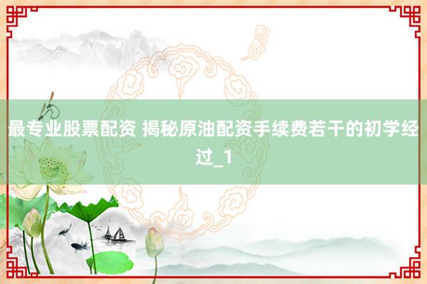 最专业股票配资 揭秘原油配资手续费若干的初学经过_1