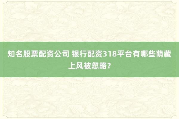 知名股票配资公司 银行配资318平台有哪些荫藏上风被忽略？
