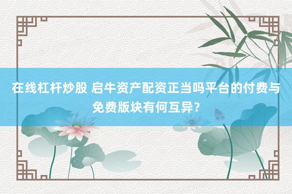 在线杠杆炒股 启牛资产配资正当吗平台的付费与免费版块有何互异？