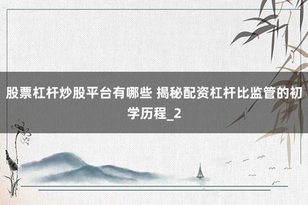 股票杠杆炒股平台有哪些 揭秘配资杠杆比监管的初学历程_2