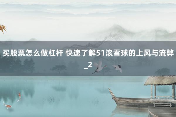 买股票怎么做杠杆 快速了解51滚雪球的上风与流弊_2
