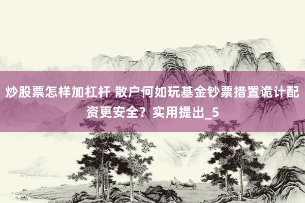 炒股票怎样加杠杆 散户何如玩基金钞票措置诡计配资更安全？实用提出_5