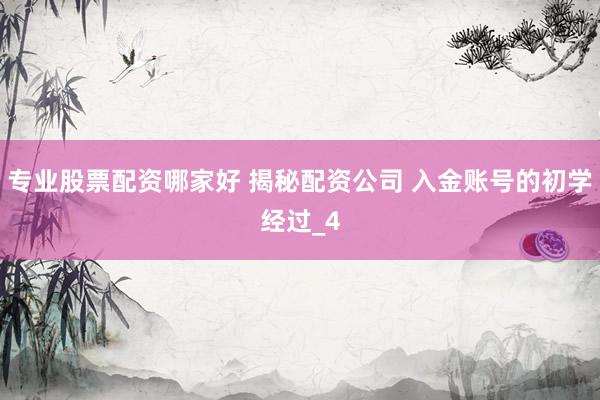 专业股票配资哪家好 揭秘配资公司 入金账号的初学经过_4