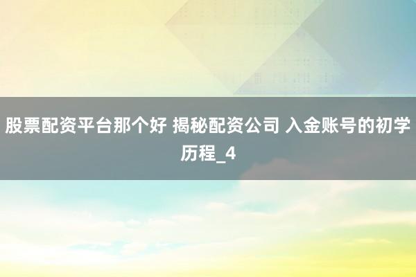 股票配资平台那个好 揭秘配资公司 入金账号的初学历程_4