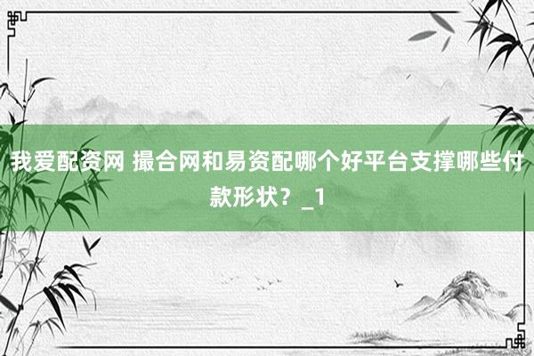 我爱配资网 撮合网和易资配哪个好平台支撑哪些付款形状？_1