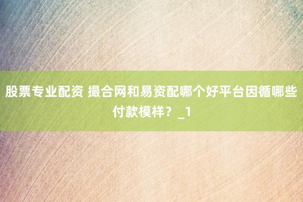 股票专业配资 撮合网和易资配哪个好平台因循哪些付款模样？_1