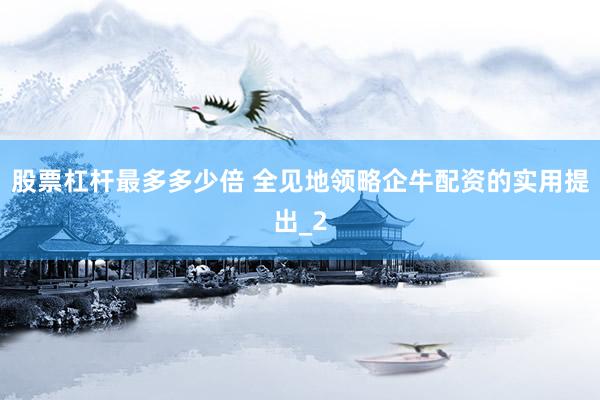 股票杠杆最多多少倍 全见地领略企牛配资的实用提出_2