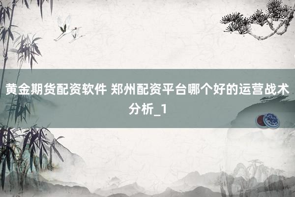 黄金期货配资软件 郑州配资平台哪个好的运营战术分析_1
