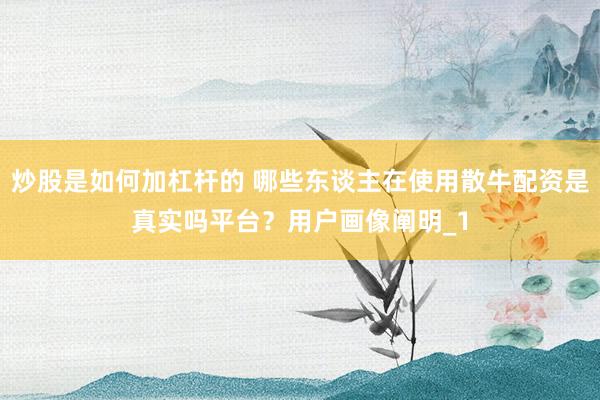 炒股是如何加杠杆的 哪些东谈主在使用散牛配资是真实吗平台？用户画像阐明_1