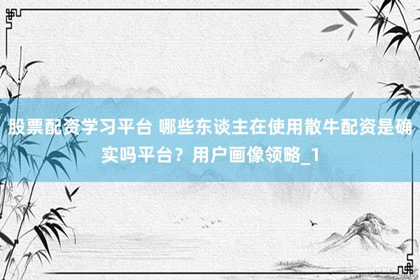 股票配资学习平台 哪些东谈主在使用散牛配资是确实吗平台？用户画像领略_1
