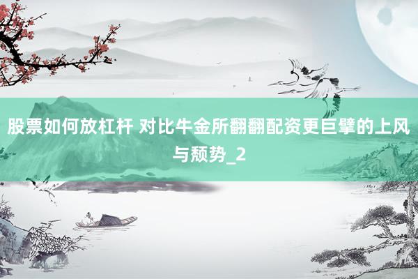 股票如何放杠杆 对比牛金所翻翻配资更巨擘的上风与颓势_2