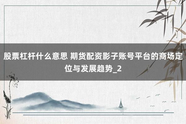 股票杠杆什么意思 期货配资影子账号平台的商场定位与发展趋势_2