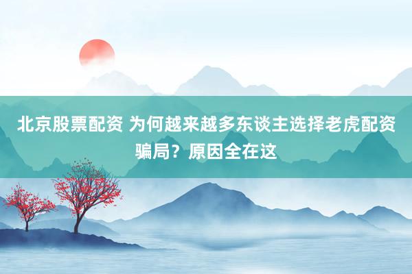 北京股票配资 为何越来越多东谈主选择老虎配资骗局？原因全在这