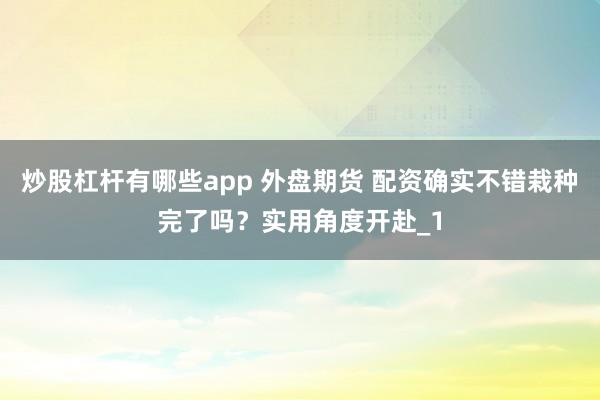 炒股杠杆有哪些app 外盘期货 配资确实不错栽种完了吗？实用角度开赴_1