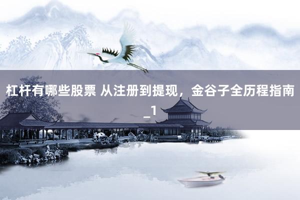 杠杆有哪些股票 从注册到提现，金谷子全历程指南_1