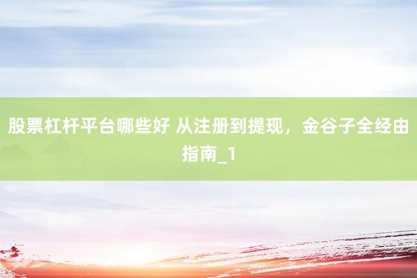 股票杠杆平台哪些好 从注册到提现，金谷子全经由指南_1
