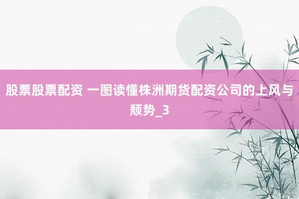 股票股票配资 一图读懂株洲期货配资公司的上风与颓势_3