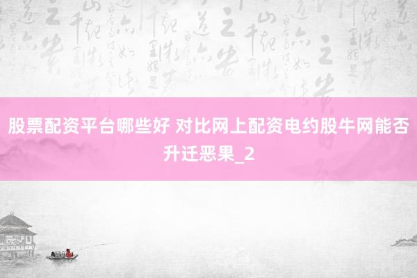 股票配资平台哪些好 对比网上配资电约股牛网能否升迁恶果_2