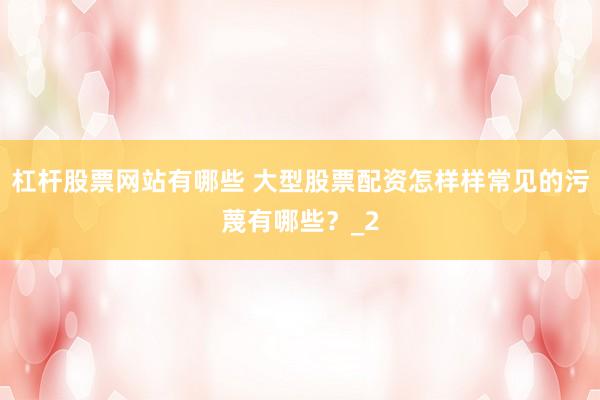 杠杆股票网站有哪些 大型股票配资怎样样常见的污蔑有哪些?_2