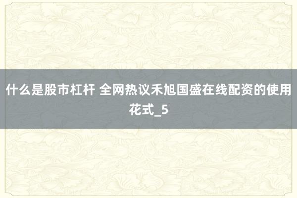什么是股市杠杆 全网热议禾旭国盛在线配资的使用花式_5